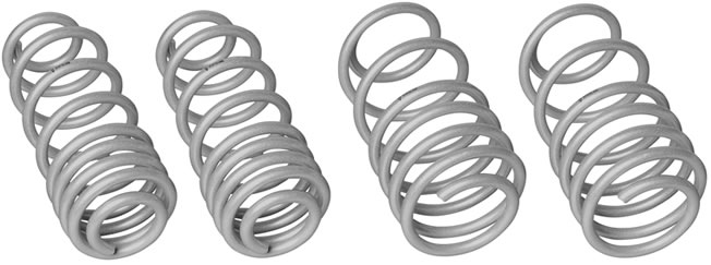 Lowering Springs